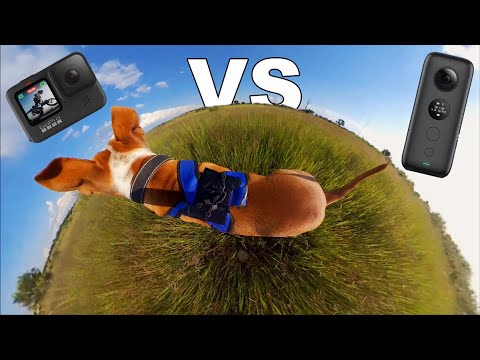 Insta360 OneX vs GoPro Hero 9 | Mounted on my Dog Chasing my FPV Drone