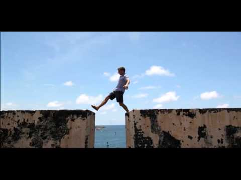 Reggae TRAP & DUBSTEP MIX 2015 - Djlp [FREE DWNLD]