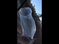 Condom Out Of A Car Window