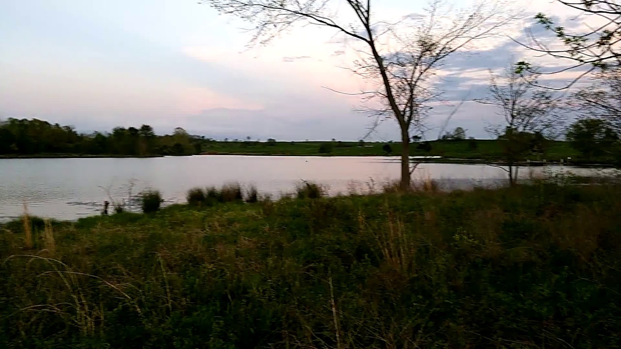 1300-Acre Kentucky Hunting Lease: Premium Deer & Turkey Habitat