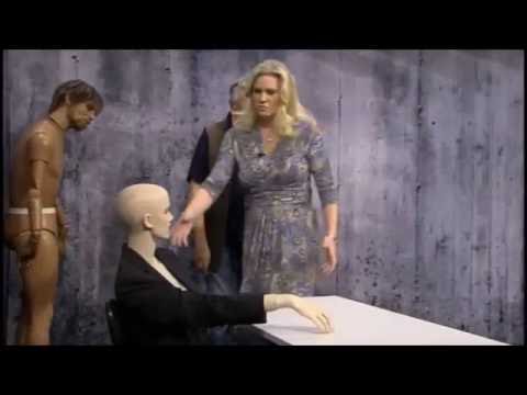 Tårtattacken mot Jimmie Åkesson