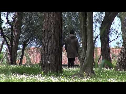 Arezzo. Accoltellamento al Pionta, preso l'aggressore: un regolamento di conti per droga