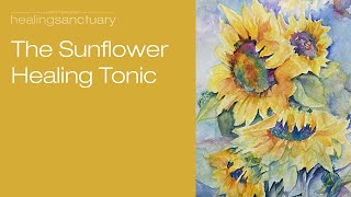 Meditation with John - The Sunflower Healing Tonic