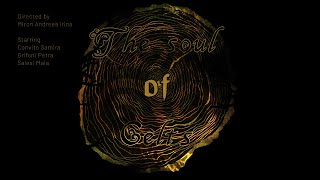 The Soul of Celts 𓆱 ⋆˙2025