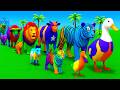 Long Slide Game With Cow Elephant Gorilla Hippopotamus Tiger 3d Animal Game Funny 3d Animals