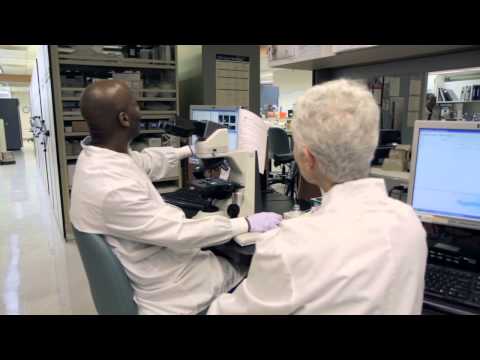 Career Profile - Clinical Lab Scientist