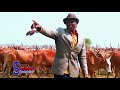 LIMBU LUCHAGULA MAKUNGU ABILI COWS INVESTIMENT CREATIONS BY MAGIC STUDIO 2021 0766031842