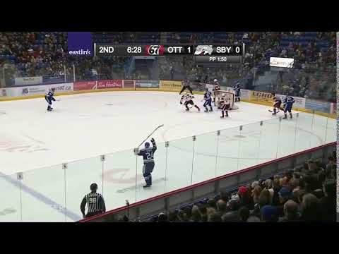 Adam Ruzicka 3rd goal in Playoff Sudbury Wolves (OHL) 18/19