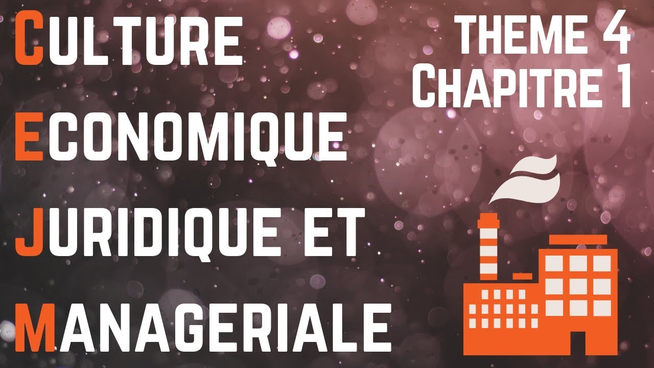 CEJM - Th4 Chap1 : Le numérique et les choix de l'entreprise