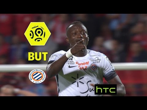 But Casimir NINGA (58') / Dijon FCO - Montpellier Hérault SC (3-3) -  / 2016-17