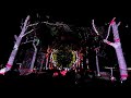 Evernow 2023 Kings Park Light Show Boorna Waangingy The Trees Speak Perth Australia