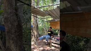 Download lagu Saking enak nya ni kopi#shorts #viral #funny #memes #meme #jokes #joke #kopi #ngopi #ngopiseru mp3