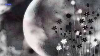 EN MALARUM NINAIVUGAL - NILAAVILE OYYARAM - PETRA THAI