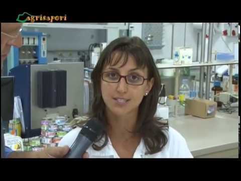 Dai polli agli alimenti per gli animali domestici...una storia italiana.