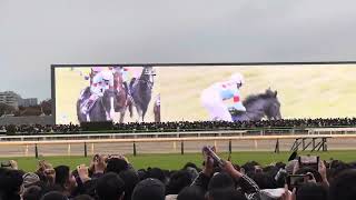 ジャパンカップ2023最終コーナぐらい