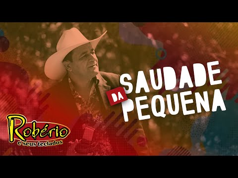 Robério e Seus Teclados - Saudade da Pequena (Clipe Oficial)