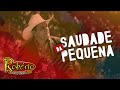 Robério E Seus Teclados Saudade Da Pequena Clipe Oficial