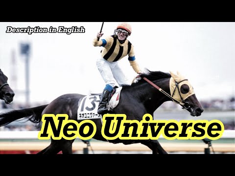 A horse that a genius jockey fell in love with. - Neo Universe（ネオユニヴァース）