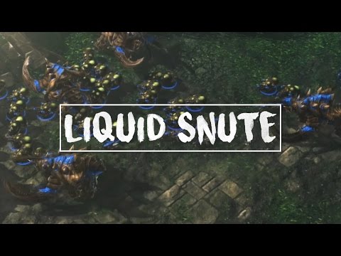 Starcraft II - Liquid Snute WCS Copa 2016 Recap Video
