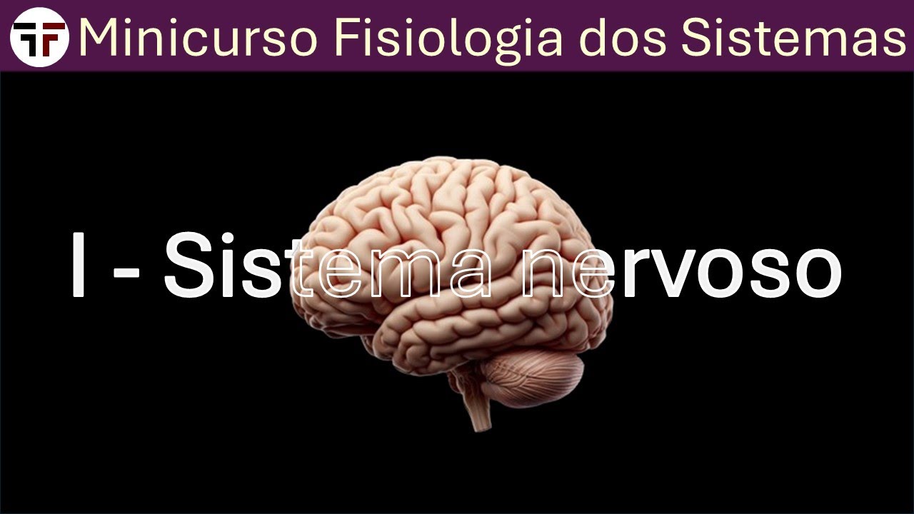 Neurofisiologia - Minicurso fisiologia dos sistemas