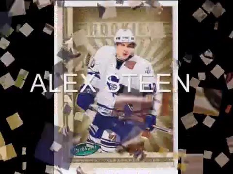 Toronto Mapleleafs 2008-2009 Roster.