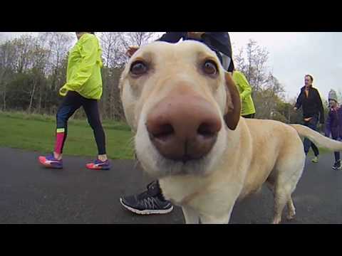 2019 04 06 Waterstown parkrun