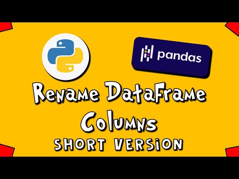 Pandas Rename DataFrame Columns SV 2
