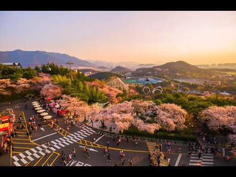 Best Hotels in Daegu, South Korea (2023)