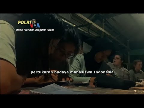 VOA - MEMPELAJARI PERTUKARAN BUDAYA AMERIKA INDONESIA MELALUI RISET ORANG UTAN