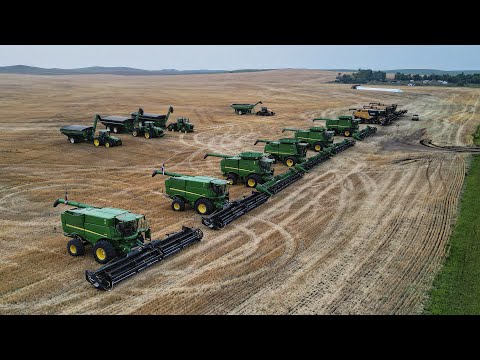 Is 14 Machines in the Field Enough? - North Dakota Wheat Harvest 2023