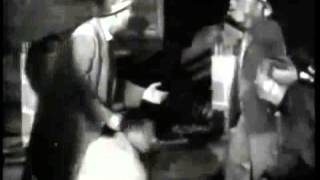 Palace Posy (Boards of Canada)