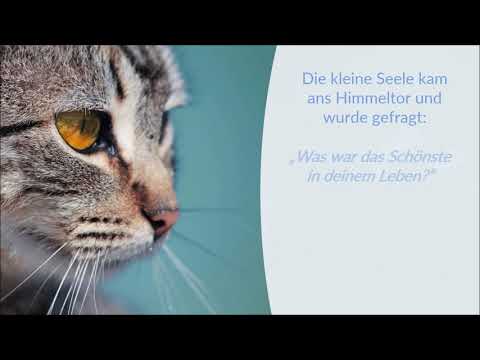 Cremare - Was war das Schönste in deinem Leben?