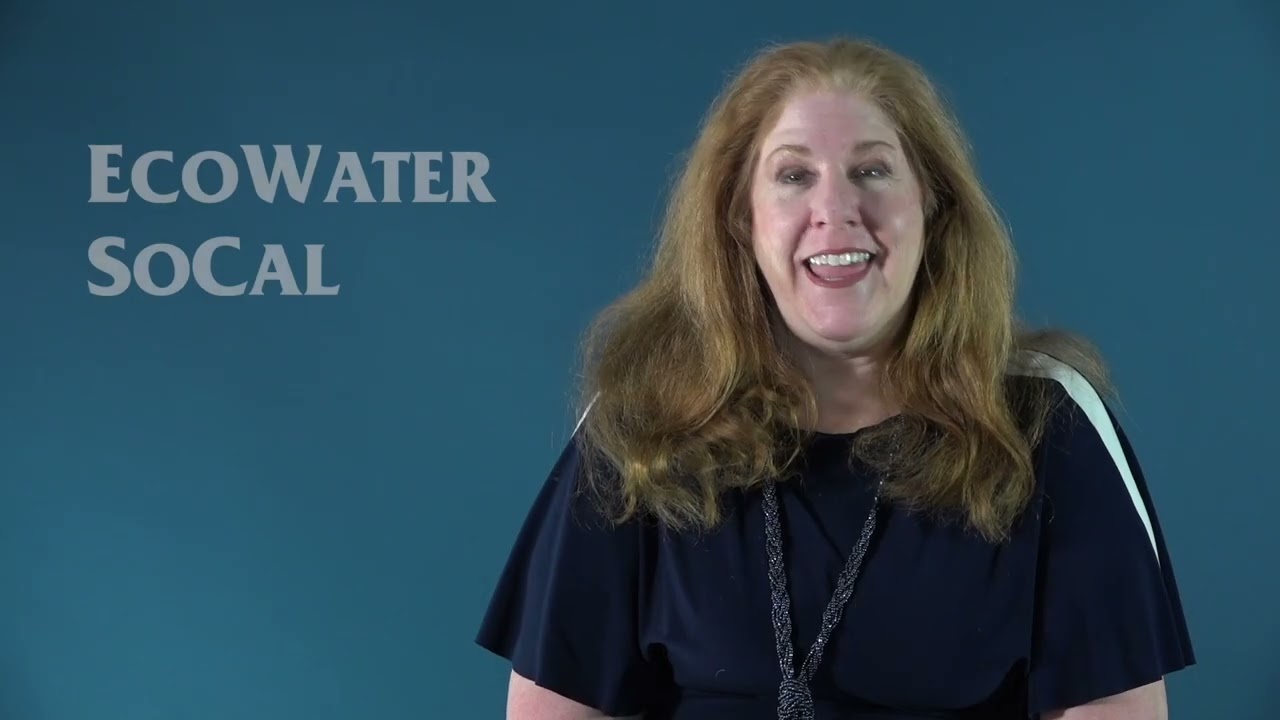 Community Impact FINALISTS