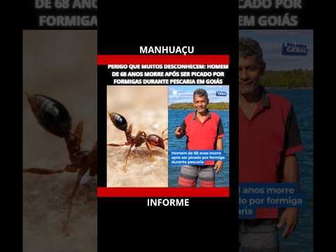 PERIGO QUE MUITOS DESCONHECEM HOMEM DE 68 ANOS MORRE APÓS SER PICADO POR FORMIGAS DURANTE PESCARIA E