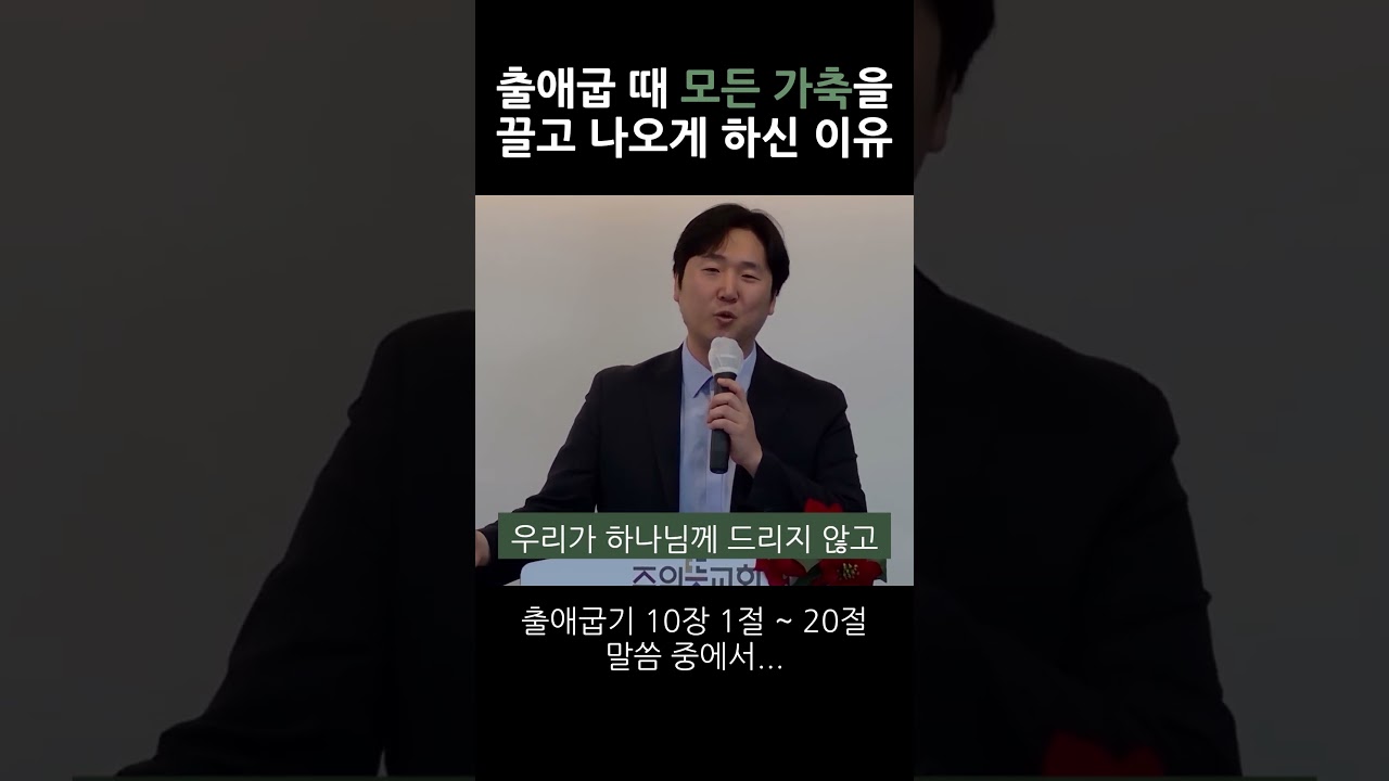 2025년 12월 8일 영상 썸네일