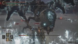 [ELDEN RING] vs.死儀礼の鳥(聖別雪原)
