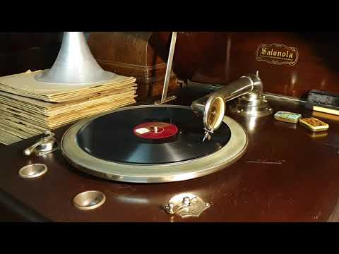 Serenade To The Stars. Jim Davidson's Dandies. Regal 78rpm