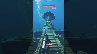 Download lagu Jay Dwarka Jay Bholenath#hot video#viralreels 😎🏔️ mp3 Download lagu Jay Dwarka Jay Bholenath#hot video#viralreels 😎🏔️ mp3