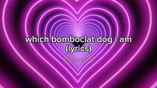 Cover art for bomboclaut dog