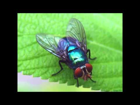 Will Sparks Vs Will Sparks & Zoolander - Drop That Chemical Energy (Kill Eat Ratz Mashup)-1