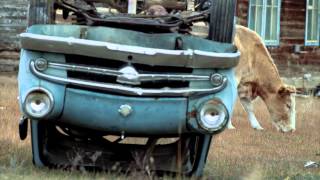 Trailer Preview Image