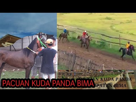 , title : 'Pelarian Teratur Pacuan Kuda Tradisional Bima 202| Queen Isabella & Ratu Joda Wakil Lombok'