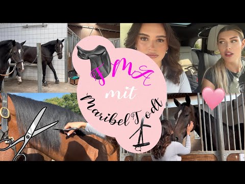 Stall FMA mit Maribel 💕 ein chaos Tag mit uns! annchenaugustine