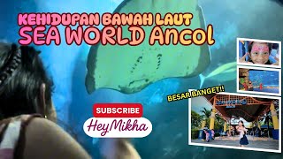 Download lagu SEA WORLD ANCOL 2026‼️ Liburan Sekolah Sambil Mengenal Kehidupan Bawah Laut 🤩 | HeyMikha Vlog mp3 Download lagu SEA WORLD ANCOL 2026‼️ Liburan Sekolah Sambil Mengenal Kehidupan Bawah Laut 🤩 | HeyMikha Vlog mp3