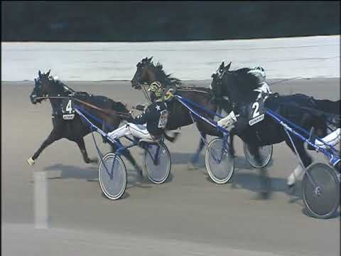 Trotto 10/11/2019 - 6ª corsa