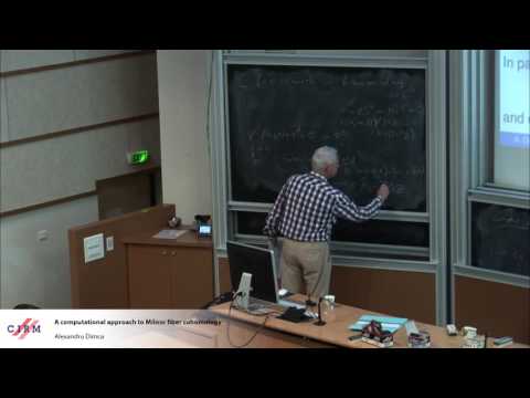 Alexandru Dimca: A computational approach to Milnor fiber cohomology