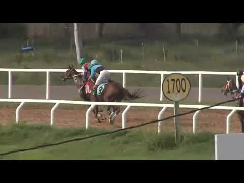 MELO SINT 230608 c03 - 1° ARES MAMM