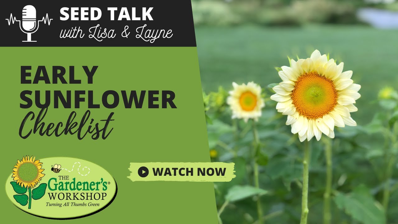 Seed Talk #79 - Early Sunflower Checklist