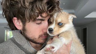 My Foster Puppy Almost Didn’t Make It…