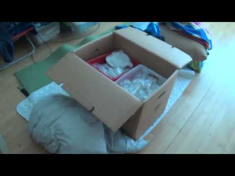 MongoTV_11000 - MIN NYE LEJLIGHED - Del 563 - Smider Tunge BØGER og Ting UD Søndag